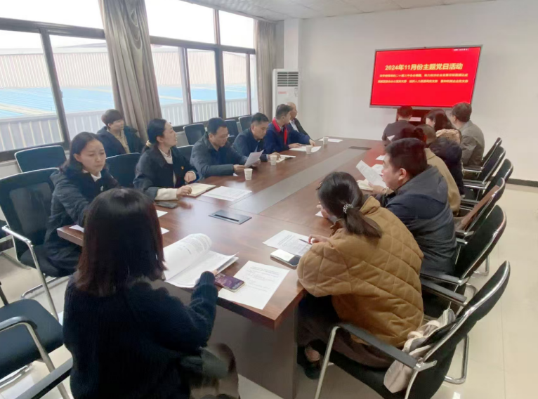 深入學(xué)習(xí)黨的二十屆三中全會(huì)精神，開(kāi)展主題黨日活動(dòng)